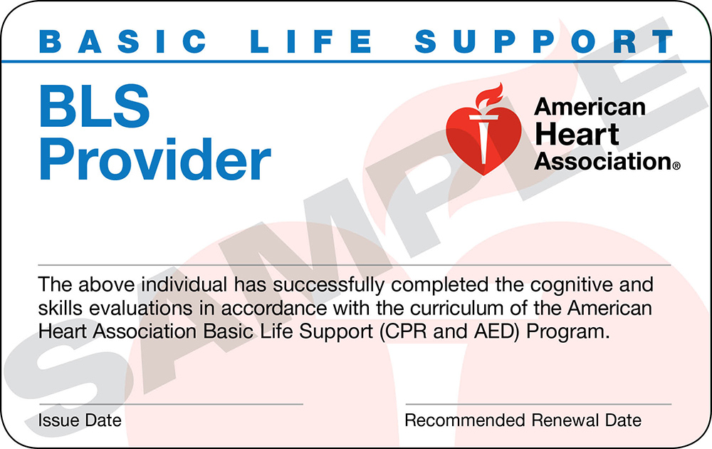 BLS Provider card on a white background