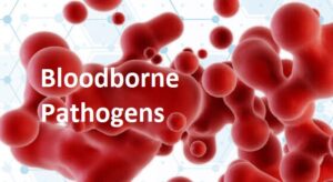 Red blood cells with "Bloodborne Pathogens" text.